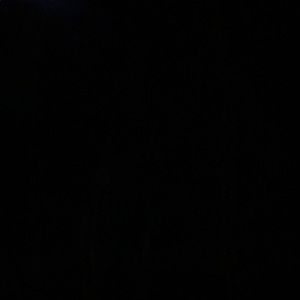 Meet your Posher, Hector